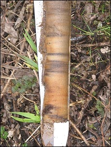 Bild von Auensand