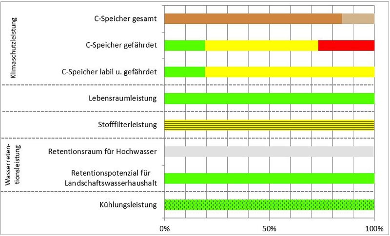 Schema