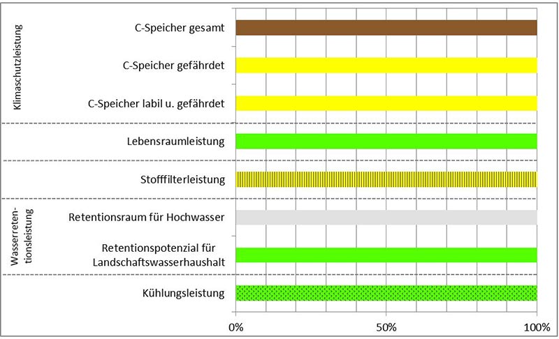 Schema