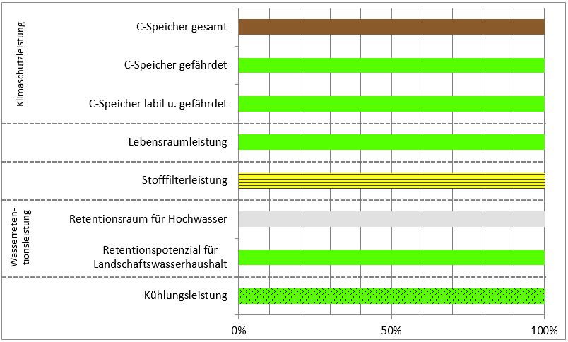 Schema
