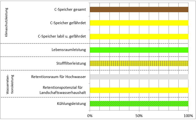 Schema