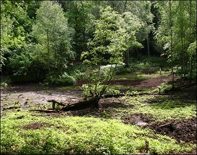 Bild von Kleinmoor