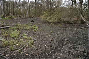 Bild von Kleingewässer