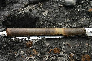 Bild von Muddebildung