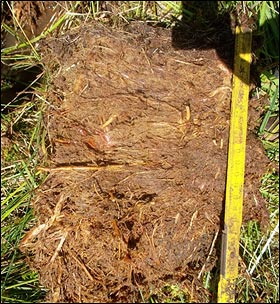 Bild von Oberboden