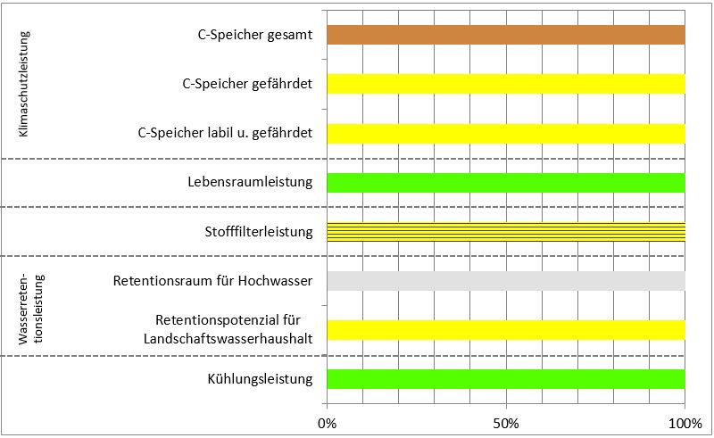 Schema