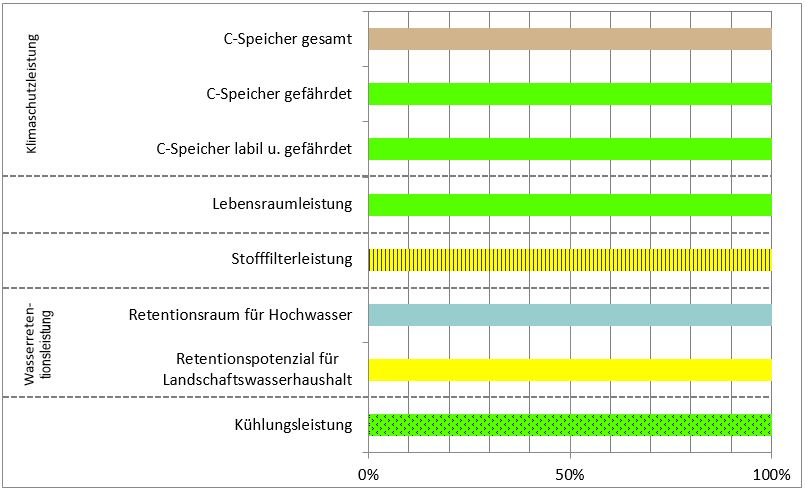 Schema