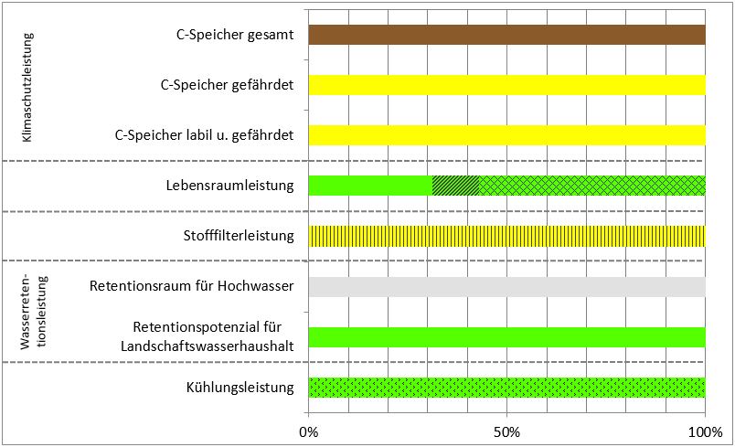 Schema
