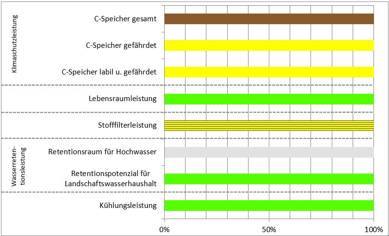 Schema
