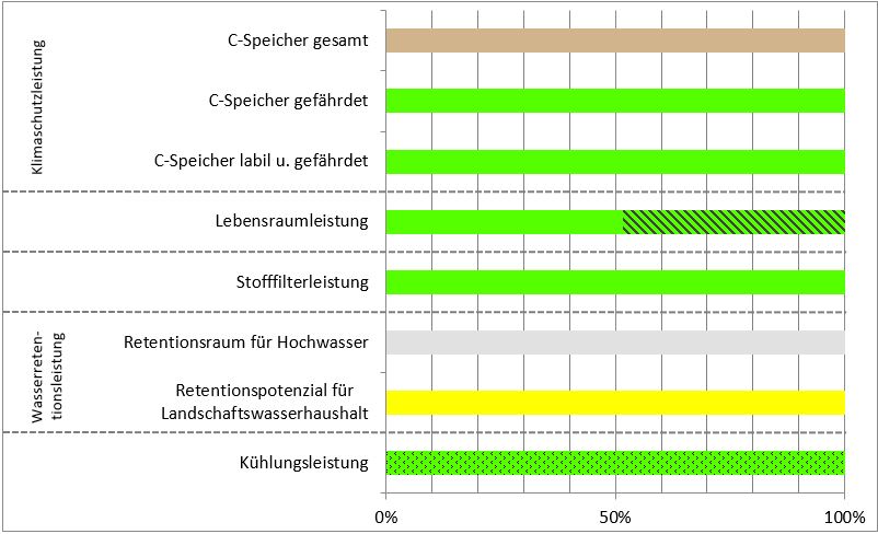 Schema