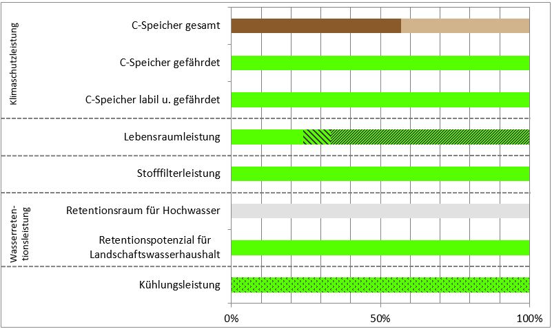 Schema