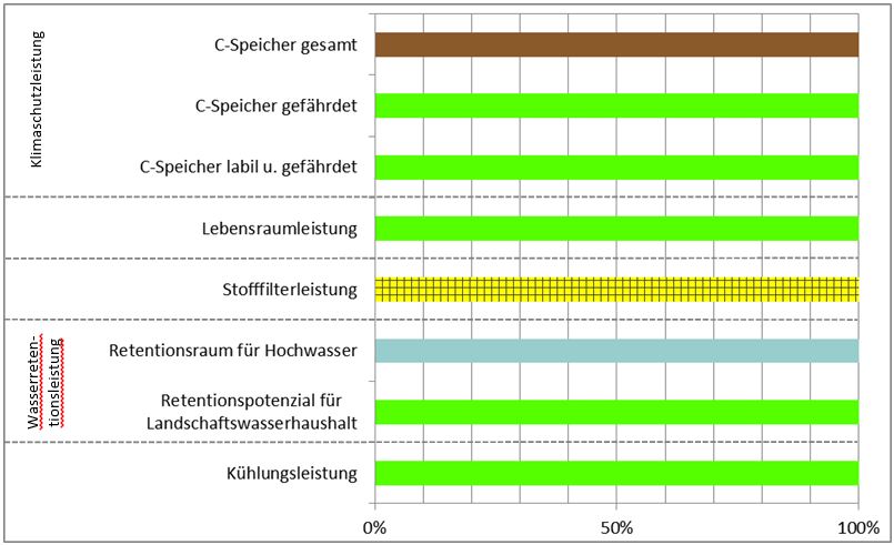 Schema