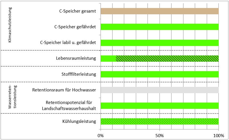 Schema