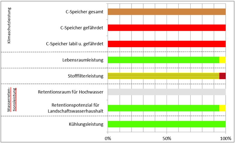 Schema