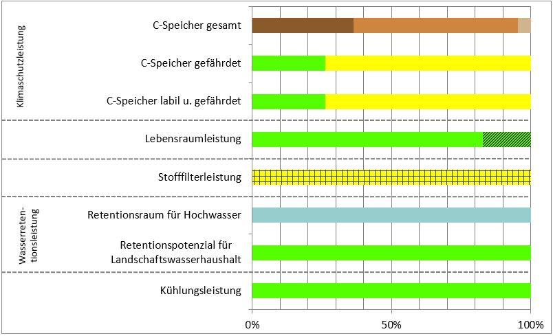 Schema