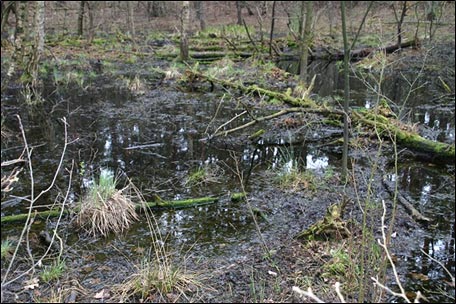 Bild von Überstau