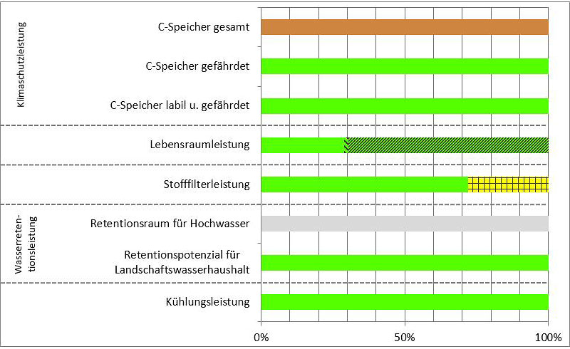 Schema