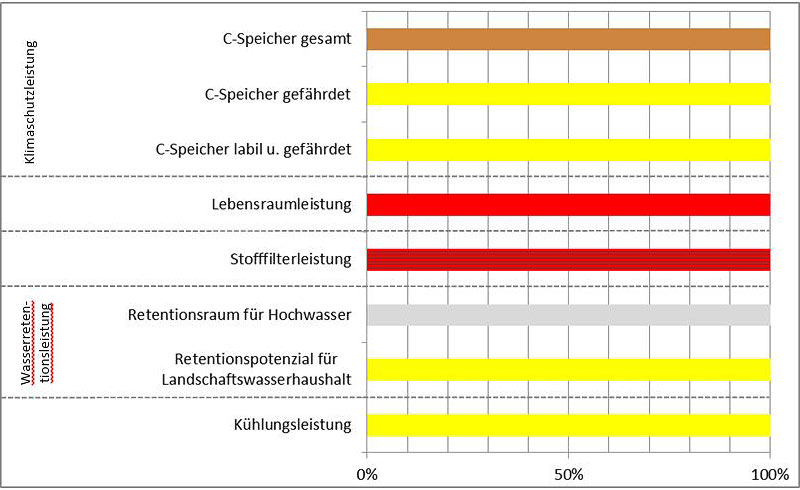 Schema
