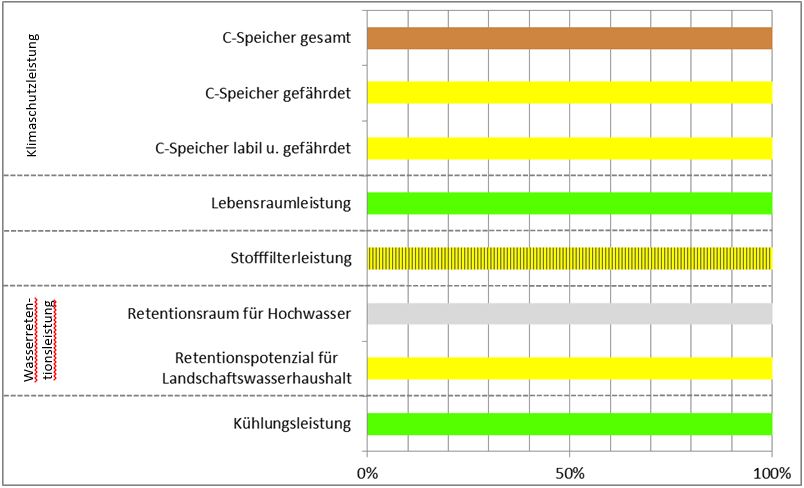 Schema