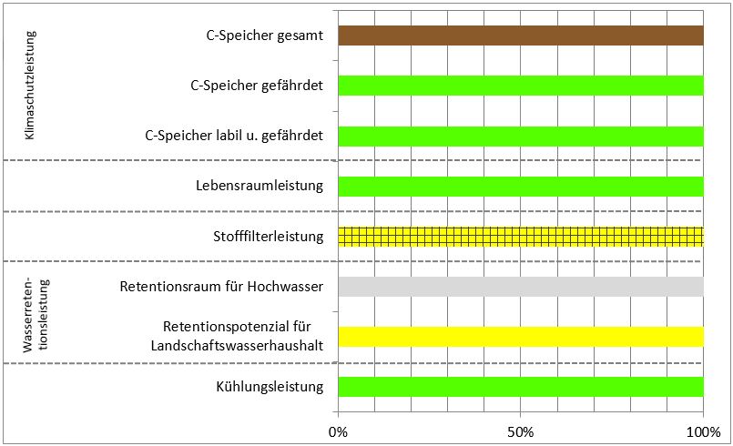 Schema