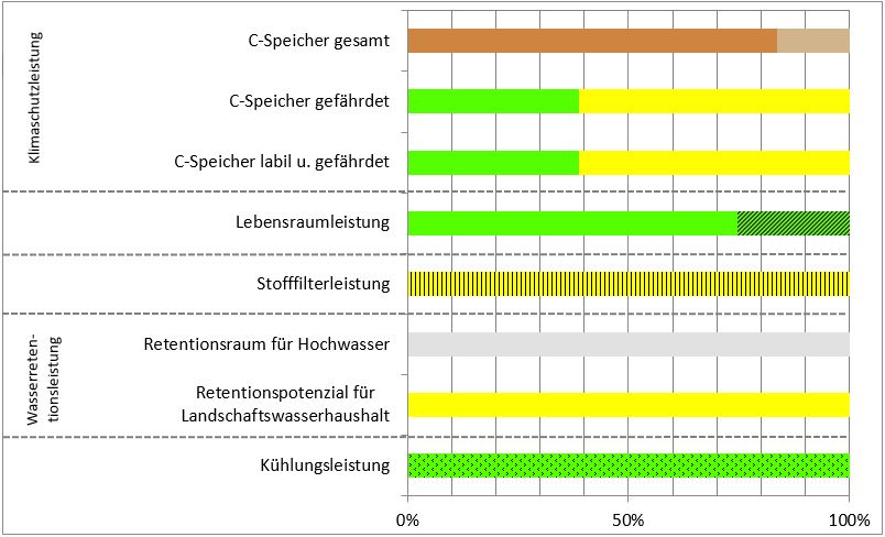 Schema