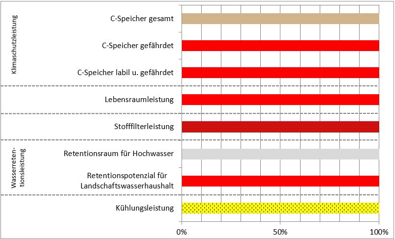 Schema