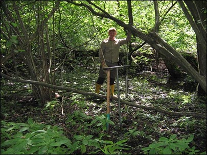 Bild von Waldstandort