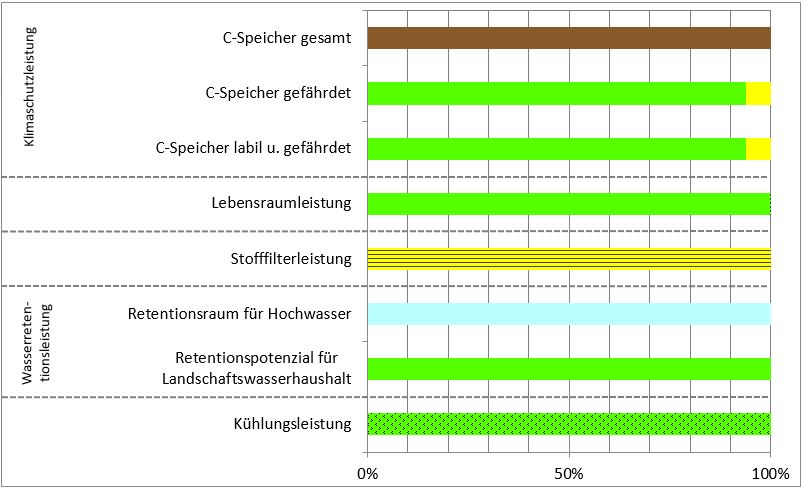 Schema