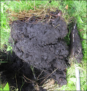 Bild von vererdetem Oberboden