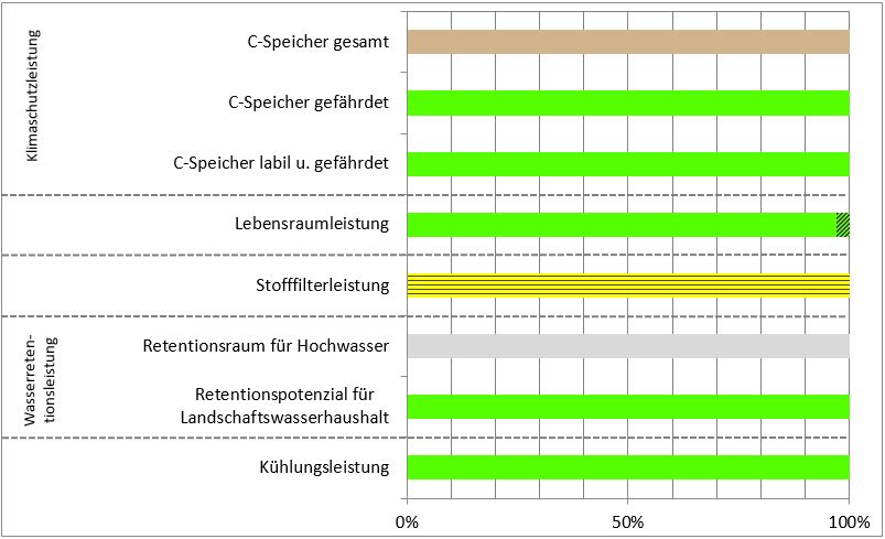 Schema