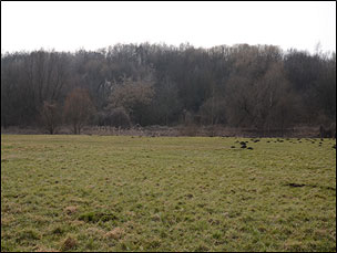 Bild von xxx