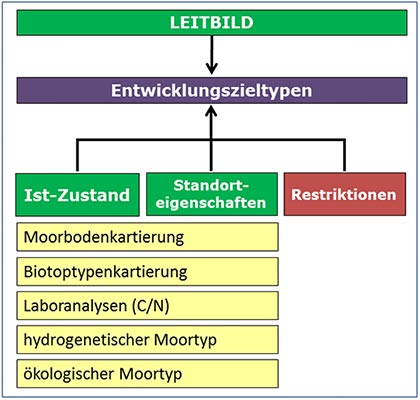 Abbildung Leitbild Entwicklungszieltypen