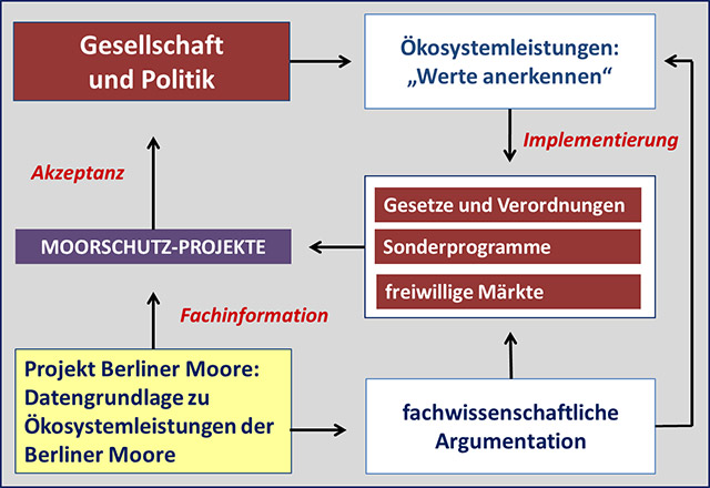 Abbildung Politik