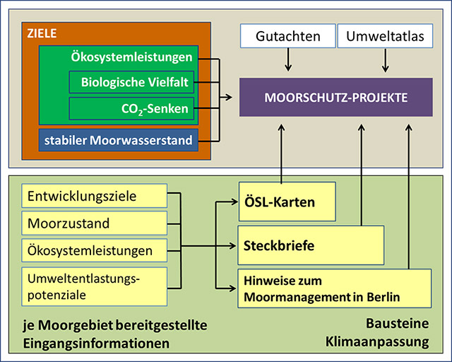 Abbildung Ziele