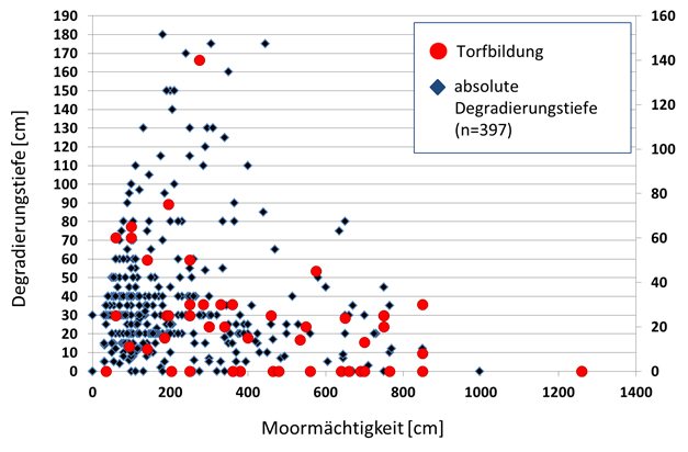 Bild Degradierungstiefe Moormächtigkeit