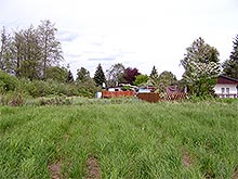 Moorgebiet
