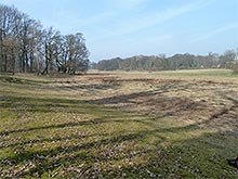 Moorgebiet