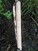 Moorklappe