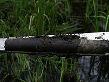 Moorklappe