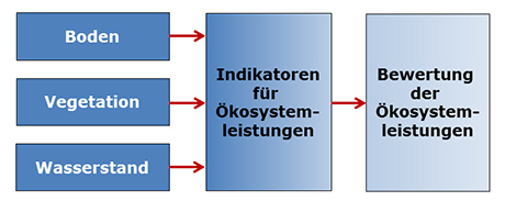 Abbildung