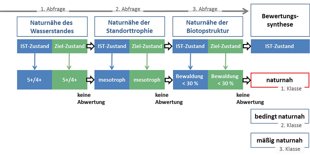 Beispielmoor 1
