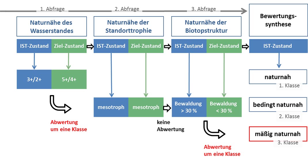 Beispielmoor 2