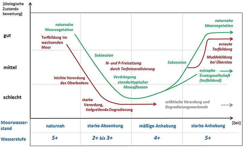 Bild Reaktion Boden Vegetation