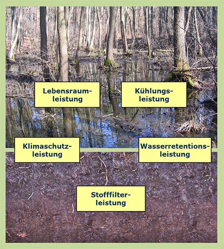 Abbildung Ökosystemleistungen