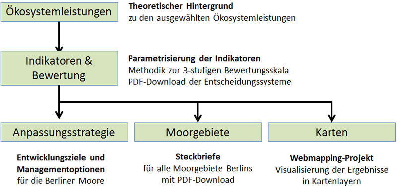 Bild zur Projekt-Übersicht