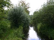 Bild Erpetal