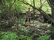 Bild Waldstandort am Hermsdorfer See